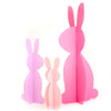 Pink Acrylic Bunny Set